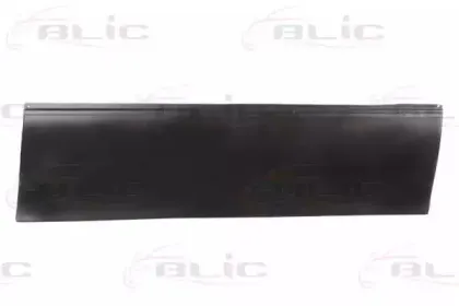 Дверь, кузов BLIC купить