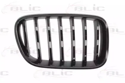 Решетка радиатора BLIC купить