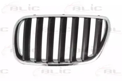 Решетка радиатора BLIC купить