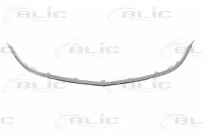 Облицовка / защитная накладка, облицовка радиатора BLIC купить