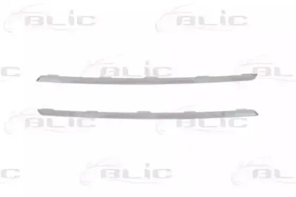 Комплект облицовки / защитной накладки, облицовка радиатора BLIC купить