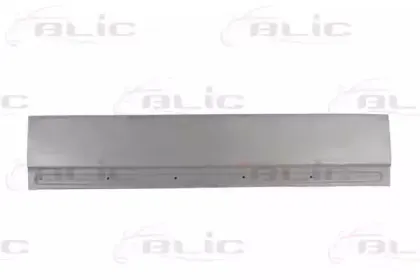 Дверь, кузов BLIC купить