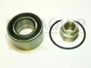 Комплект подшипника ступицы колеса MOTAQUIP купить