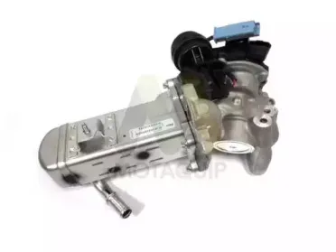 Клапан возврата ОГ MOTAQUIP купить