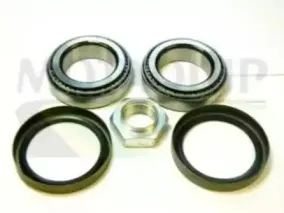 Комплект подшипника ступицы колеса MOTAQUIP купить