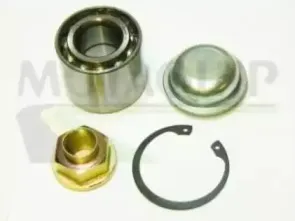 Комплект подшипника ступицы колеса MOTAQUIP купить