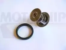 Термостат, охлаждающая жидкость MOTAQUIP купить