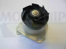 Водяной насос MOTAQUIP купить