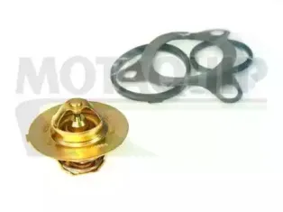 Термостат, охлаждающая жидкость MOTAQUIP купить