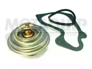 Термостат, охлаждающая жидкость MOTAQUIP купить