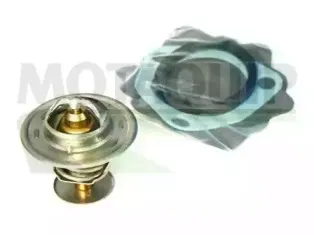 Термостат, охлаждающая жидкость MOTAQUIP купить