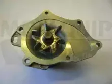 Водяной насос MOTAQUIP купить