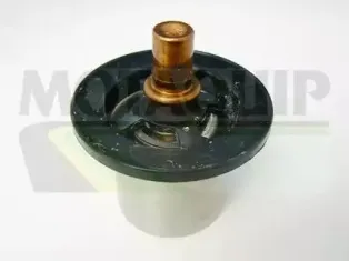 Термостат, охлаждающая жидкость MOTAQUIP купить