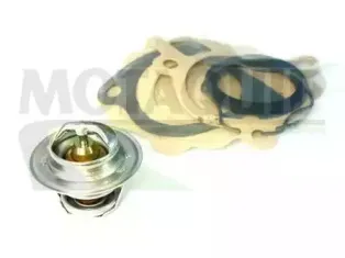 Термостат, охлаждающая жидкость MOTAQUIP купить