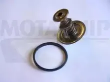 Термостат, охлаждающая жидкость MOTAQUIP купить