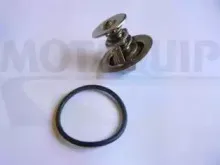 Термостат, охлаждающая жидкость MOTAQUIP купить