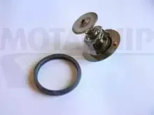 Термостат, охлаждающая жидкость MOTAQUIP купить