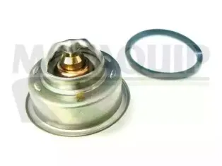 Термостат, охлаждающая жидкость MOTAQUIP купить