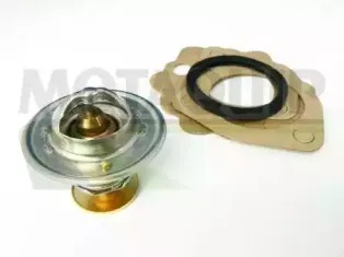 Термостат, охлаждающая жидкость MOTAQUIP купить