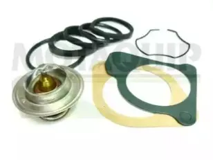 Термостат, охлаждающая жидкость MOTAQUIP купить