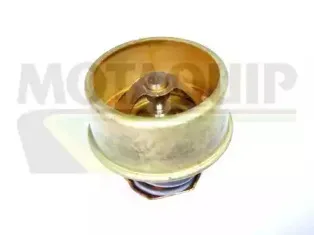 Термостат, охлаждающая жидкость MOTAQUIP купить