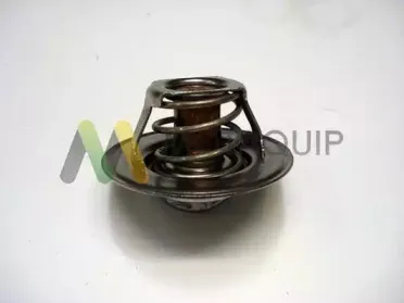 Термостат, охлаждающая жидкость MOTAQUIP купить