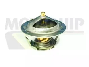 Термостат, охлаждающая жидкость MOTAQUIP купить