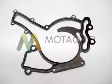 Водяной насос MOTAQUIP купить