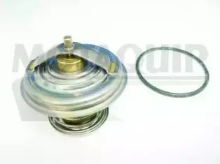 Термостат, охлаждающая жидкость MOTAQUIP купить