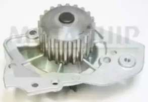 Водяной насос MOTAQUIP купить