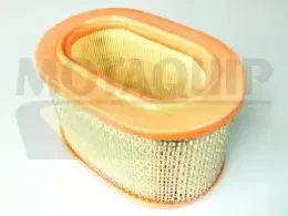Воздушный фильтр MOTAQUIP купить