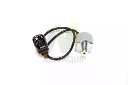 Датчик детонации MOTAQUIP купить