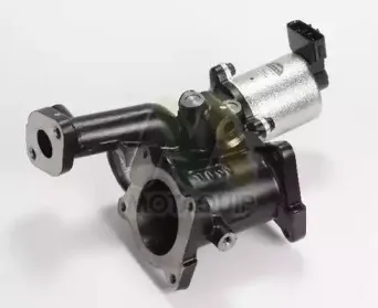 Клапан возврата ОГ MOTAQUIP купить