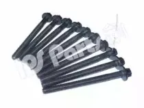 Комплект болтов головки цилидра IPS Parts купить
