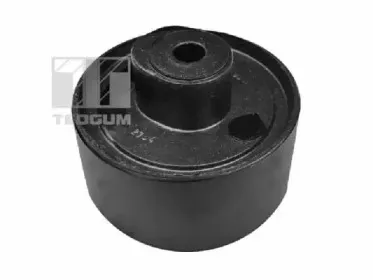 Кронштейн, подвеска двигателя TEDGUM купить