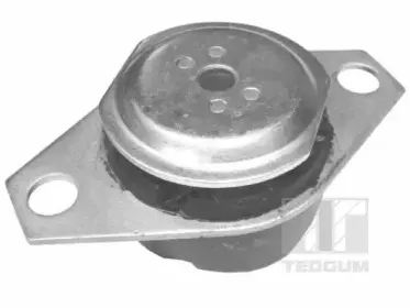 Кронштейн, подвеска двигателя TEDGUM купить