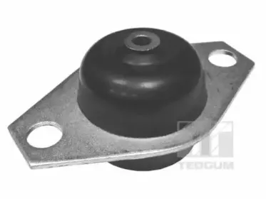 Кронштейн, подвеска двигателя TEDGUM купить