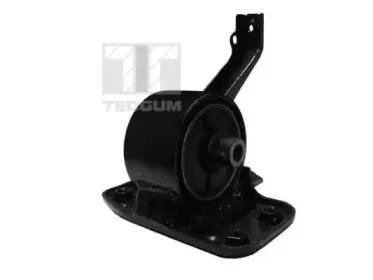 Подвеска, держатель ступенчатой коробки передач TEDGUM купить