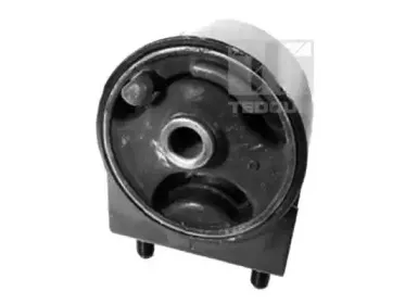 Кронштейн, подвеска двигателя TEDGUM купить