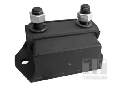 Кронштейн, подвеска двигателя TEDGUM купить