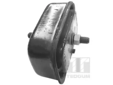 Кронштейн, подвеска двигателя TEDGUM купить