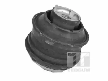 Кронштейн, подвеска двигателя TEDGUM купить