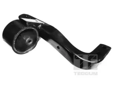 Подвеска, держатель ступенчатой коробки передач TEDGUM купить