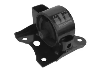 Кронштейн, подвеска двигателя TEDGUM купить