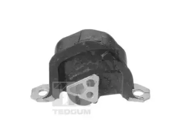 Кронштейн, подвеска двигателя TEDGUM купить