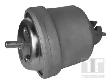 Кронштейн, подвеска двигателя TEDGUM купить