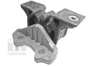 Кронштейн, подвеска двигателя TEDGUM купить