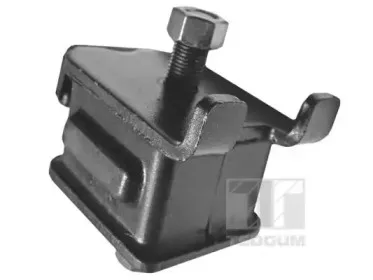 Кронштейн, подвеска двигателя TEDGUM купить