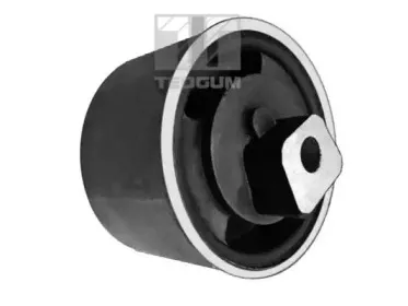 Кронштейн, подвеска двигателя TEDGUM купить