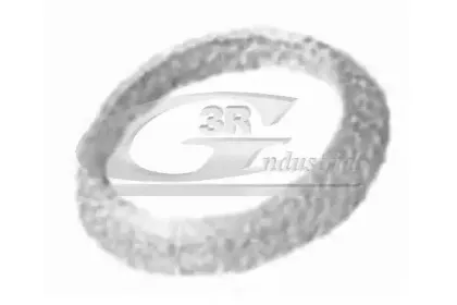 Уплотнительное кольцо, труба выхлопного газа 3RG купить